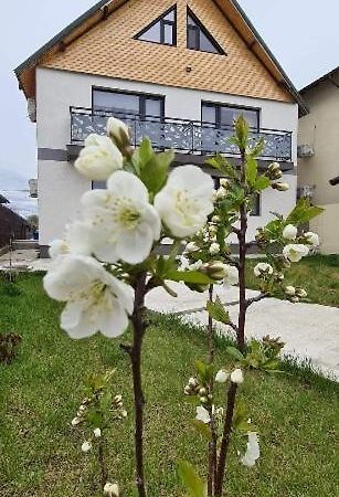 Отель Casuta Noastra - Сулина Экстерьер фото